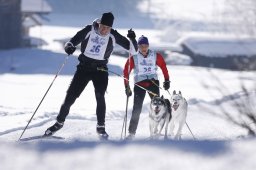 Lenk 2013